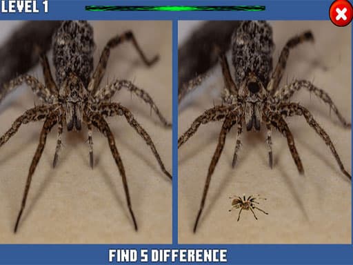 Spot the Difference: Spider Edition