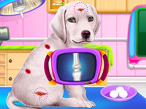 Labrador Puppy Care: Vet & Spa Fun