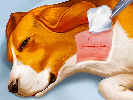 Puppy Vet: Heal & Care