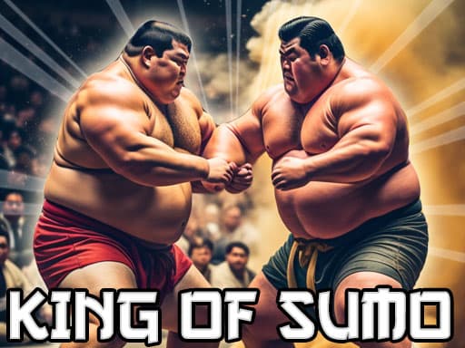 Sumo Champion: Rise to Glory