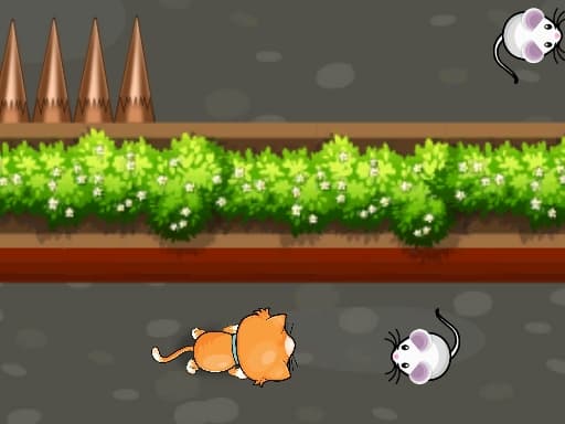 Escape the Cat Trap Labyrinth