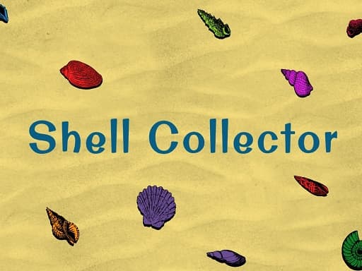 Coastal Calm: Shell Collector