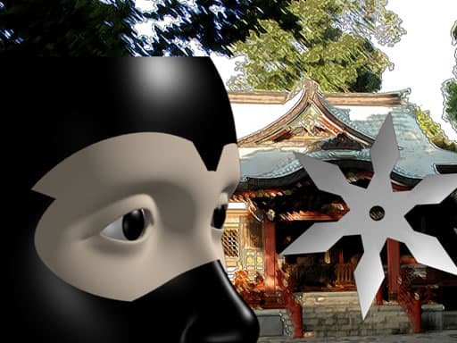 Ninja Academy: Master the Art of Stealth